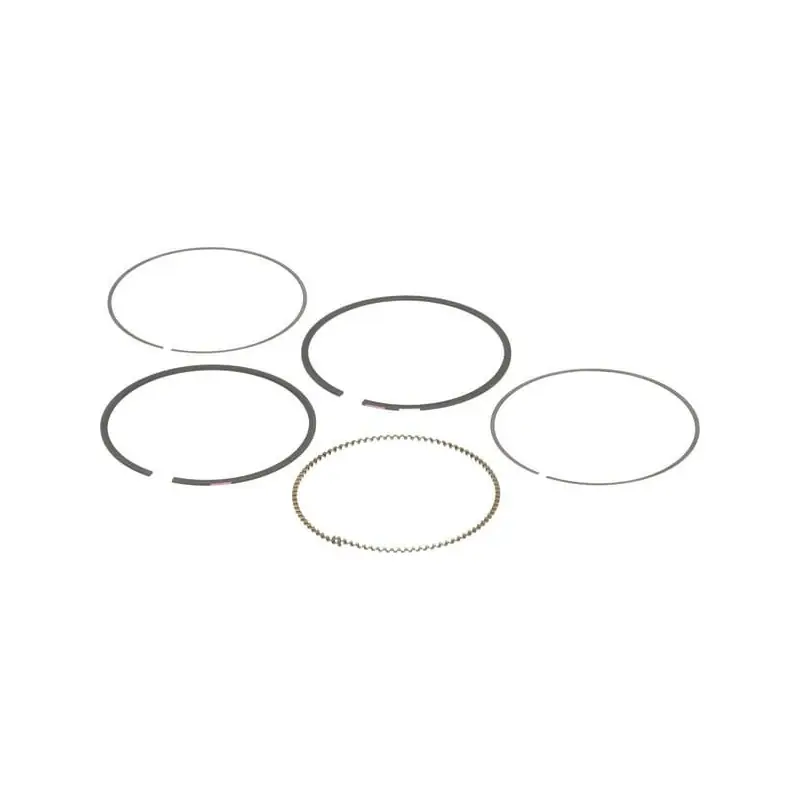 Commander Maintenant Kit de segments Briggs et Stratton – 792026