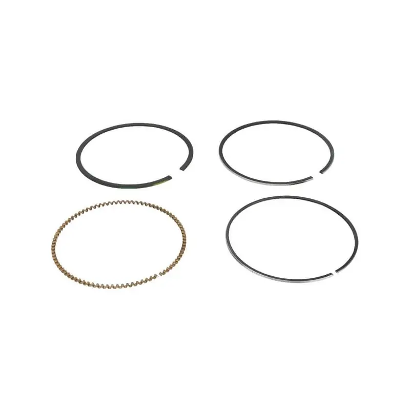 Kit de segments Briggs et Stratton – 591286 Petit Prix