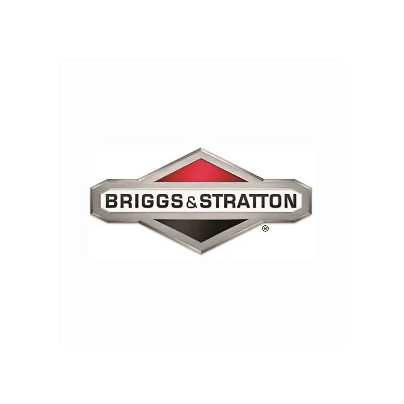 Cylindre Briggs et Stratton – 699505 Achetez Aujourd&rsquo;hui