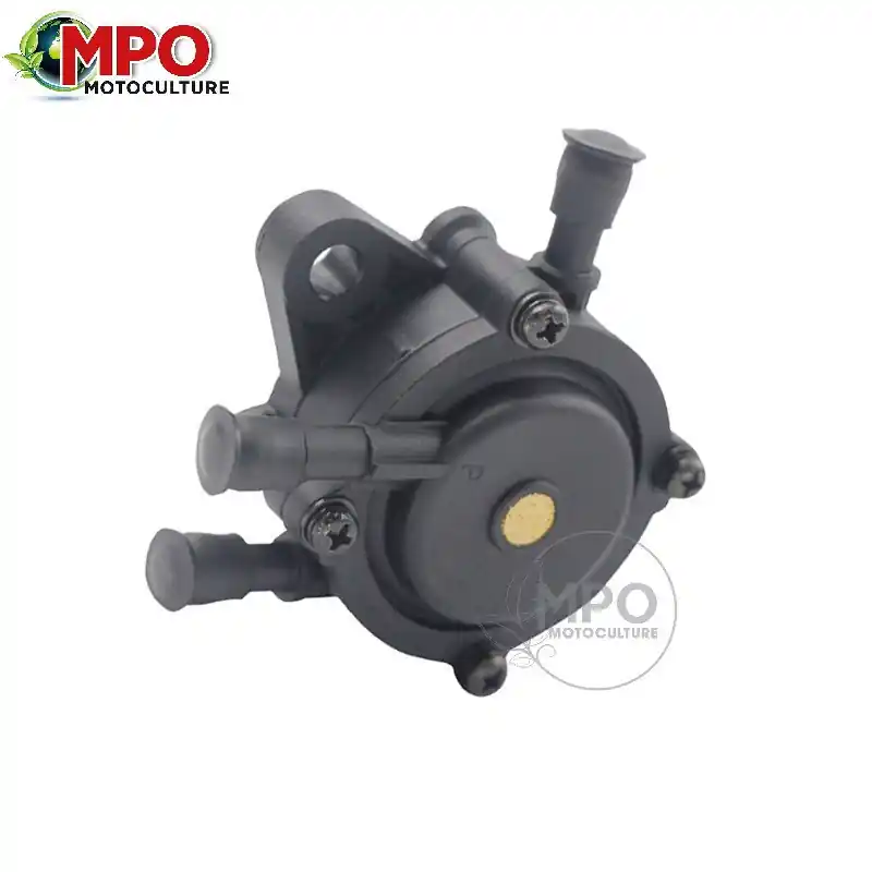 Pompe à essence Briggs & Stratton 808656 / 694000 Meilleur Prix