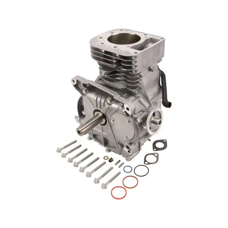 Dernière Chance Shortblock modèle 31 vertical Briggs et Stratton – 592060A