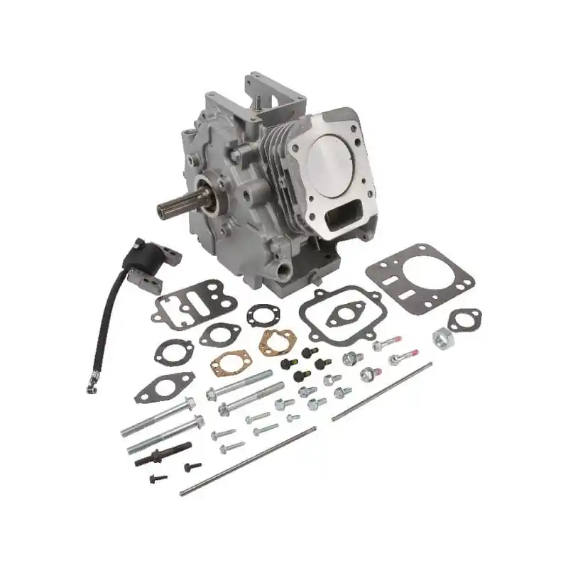Shortblock Briggs et Stratton – 699582 Prix Bas