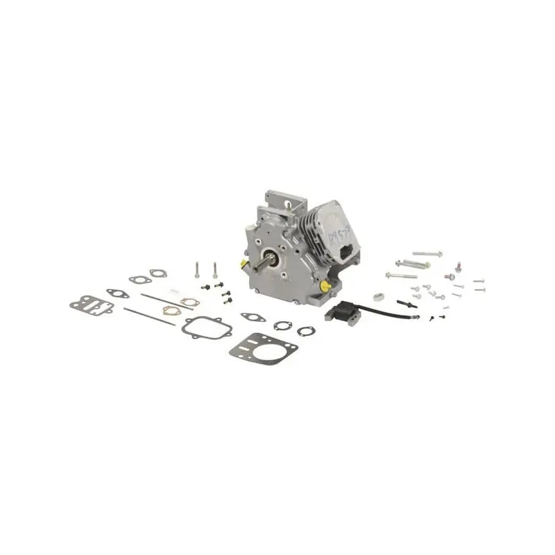Shortblock Briggs et Stratton – 699579 Réduction