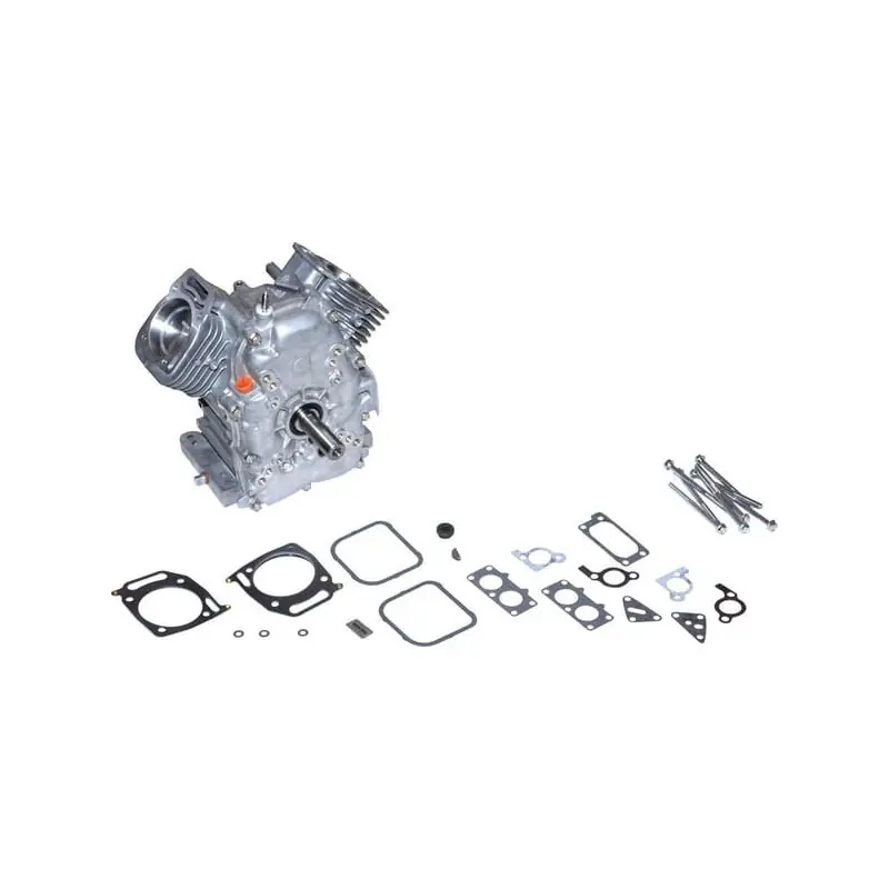 Shortblock Briggs et Stratton – 695390 Remise