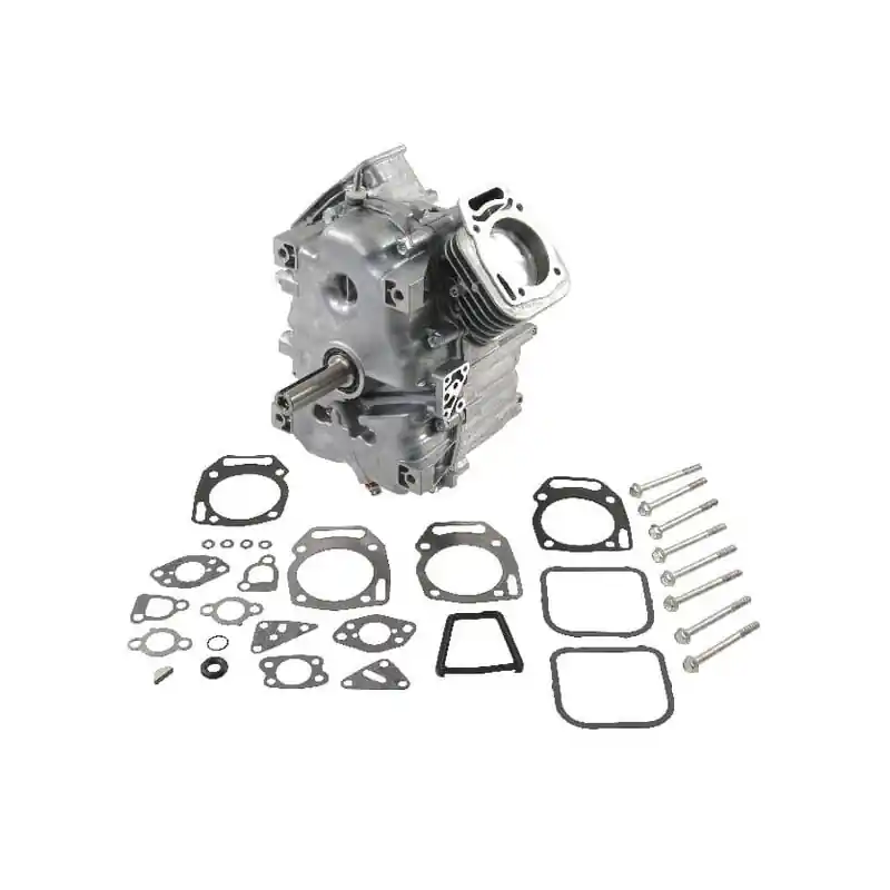 Shortblock Briggs et Stratton – 496241 Certifié