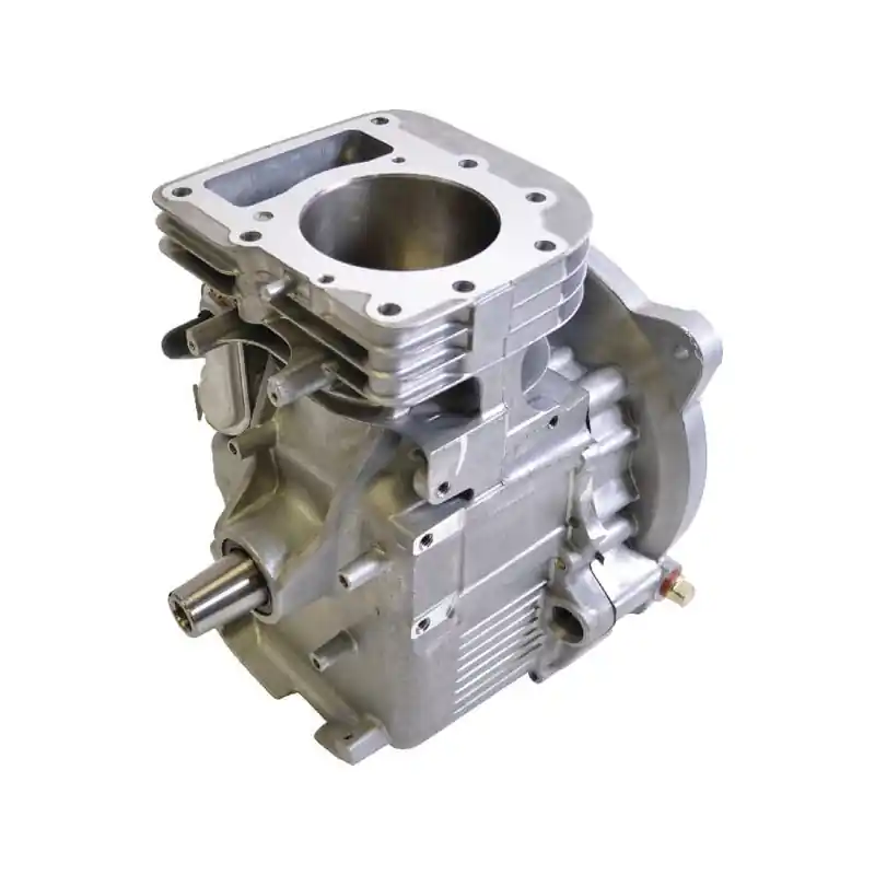 Top Vente Shortblock Briggs et Stratton – 494055