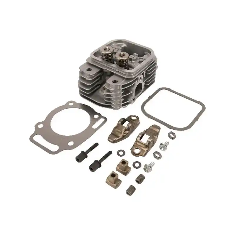 Prix Cassé Culasse Briggs et Stratton – 809201