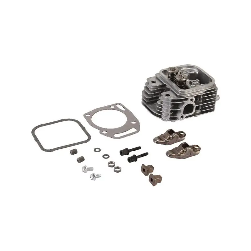 Super Prix Culasse Briggs et Stratton – 809186