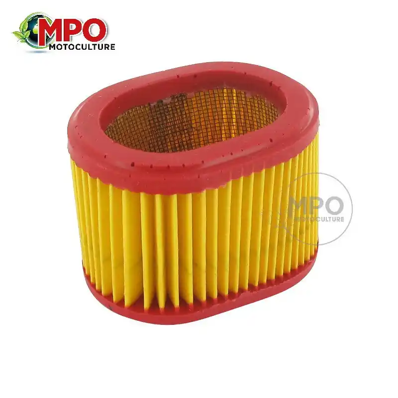 Filtre à air pour moteur 3.5 et 4 ch Briggs & Stratton Populaire