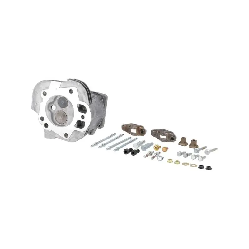 Culasse Briggs et Stratton – 799859 Meilleure Vente