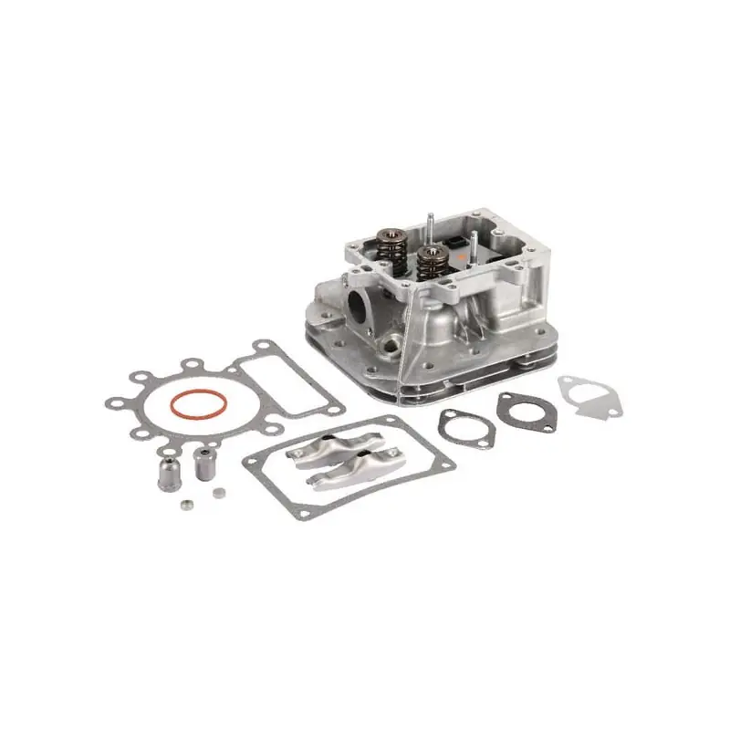 Culasse Briggs et Stratton – 796183 Meilleure Vente