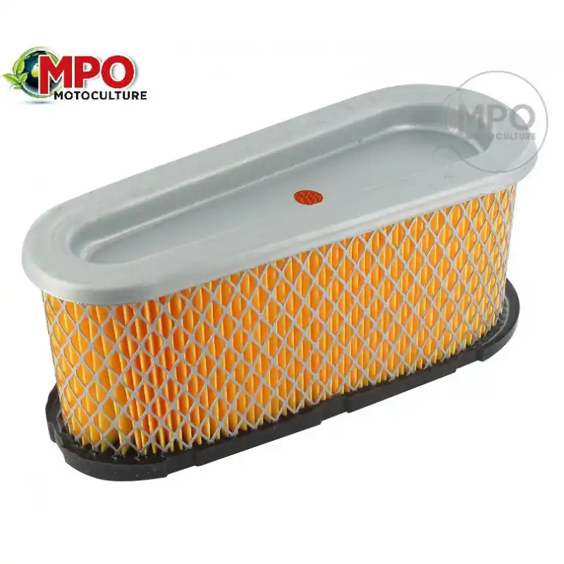 Prix Choc Filtre à air pour Briggs & Stratton 282700, 283700, 286700