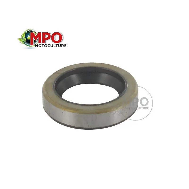Joint spi pour Briggs & Stratton Prix Promo