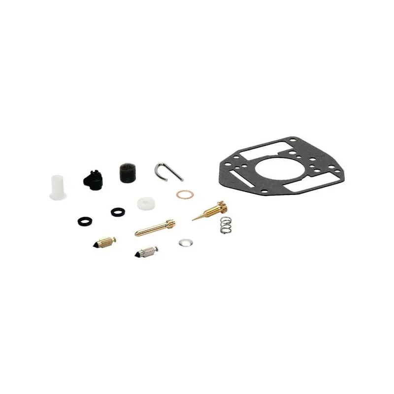 Kit de réparation carburateur Briggs et Stratton – 809021 Offre Limitée