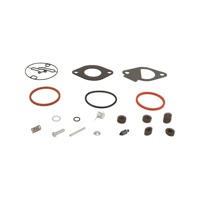 Paiement Sécurisé Kit de réparation carburateur Briggs et Stratton – 796184