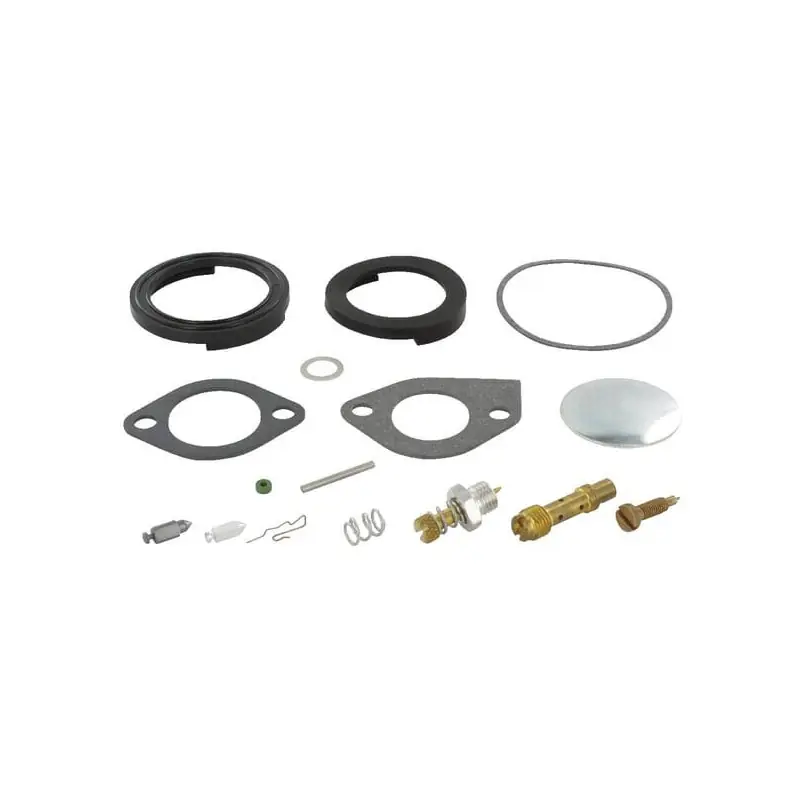 Kit de réparation carburateur Briggs et Stratton – 394698 Usine Directe