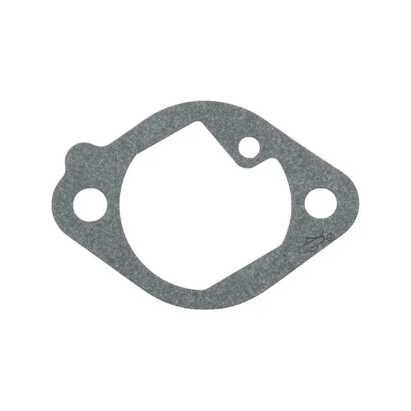 Expédié Aujourd&rsquo;hui Joint, admission Briggs et Stratton – 699800