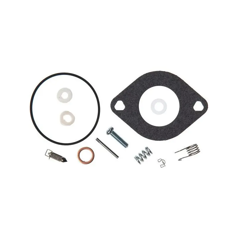 Kit réparation Briggs et Stratton – 594886 Nouvelle Collection