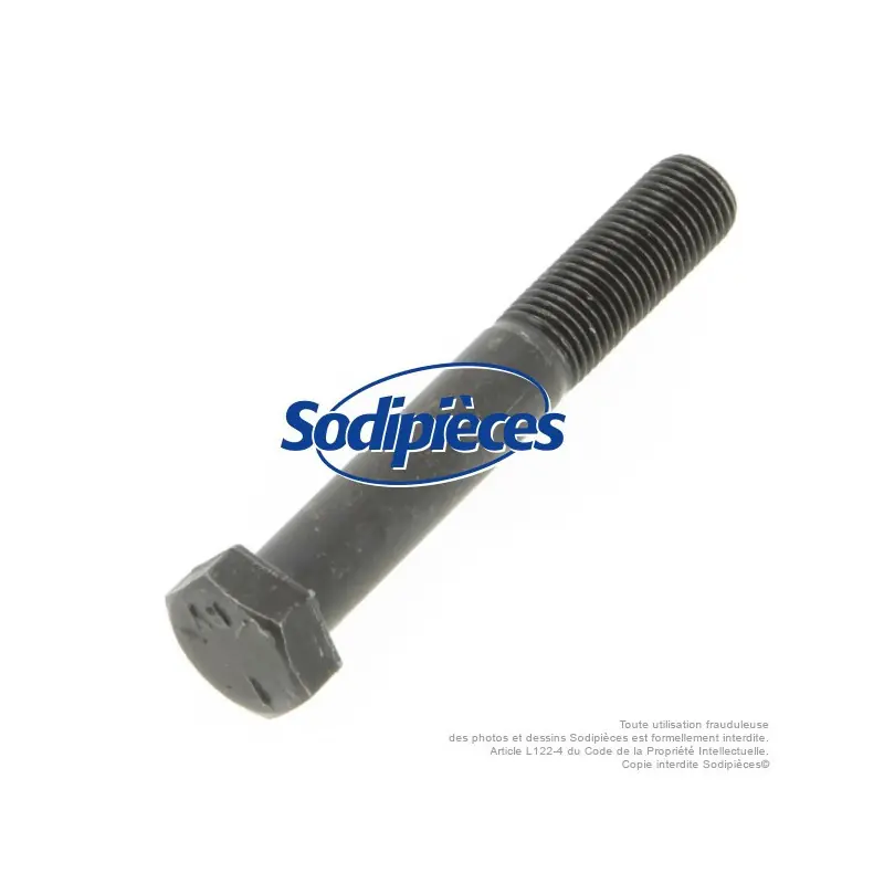Vis de lame pas à droite ø 9.5 mm / Longueur 64 mm Acheter Direct
