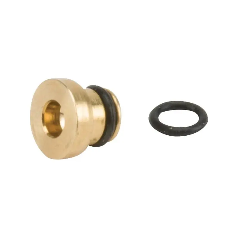 Livraison Express Gicleur principal Briggs et Stratton – 699898