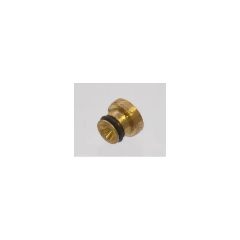 Gicleur principal Briggs et Stratton – 695415 Offre Du Jour