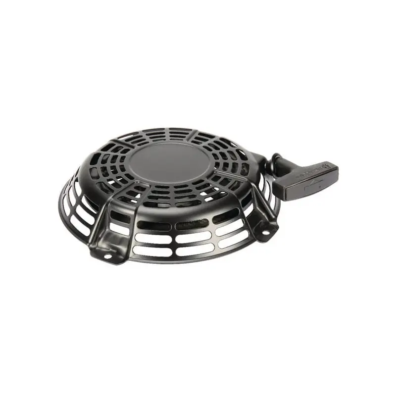 Remise Lanceur Briggs et Stratton – 841729