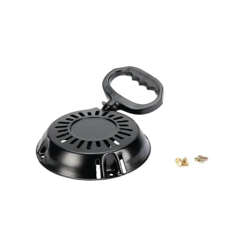 Prix Bas Lanceur Briggs et Stratton – 699335
