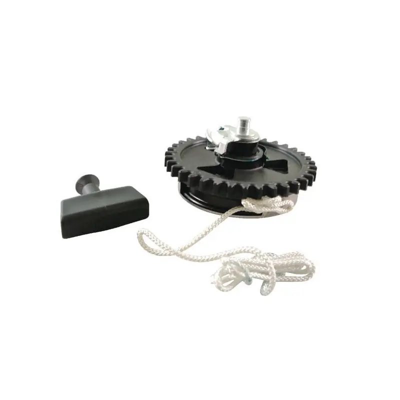 Lanceur Briggs et Stratton – 490647 Authentique