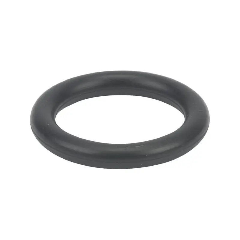 Joint torique Briggs et Stratton – 699725 Commander Vite