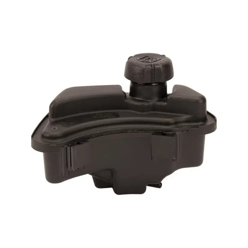 Acheter En Ligne Réservoir de carburant Briggs et Stratton – 591947