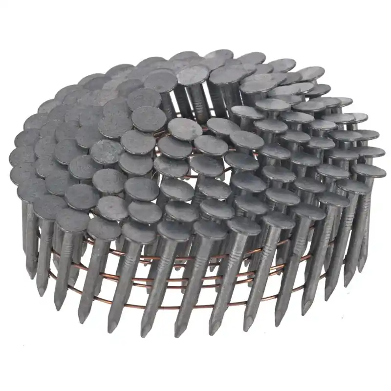Pointes en rouleau galvanisées à chaud DEWALT DNR3132HDZ 3.1x32mm Haute Qualité