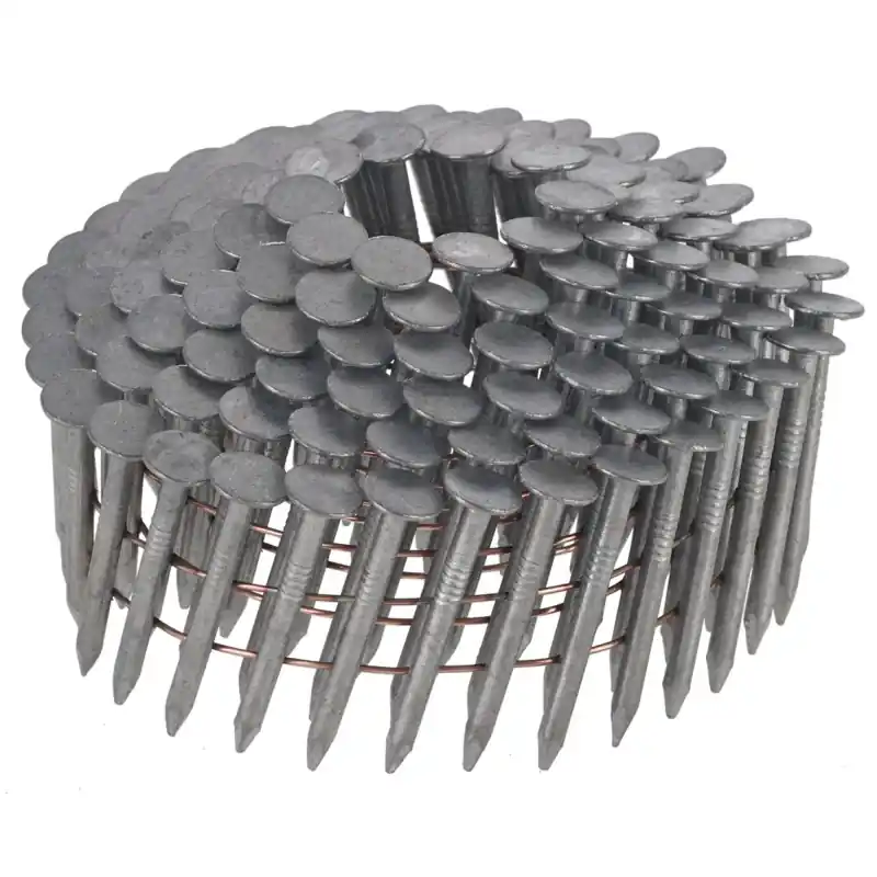 Nouvelle Collection Pointes en rouleau galvanisées à chaud DEWALT DNR3138HDZ 3.1x38mm