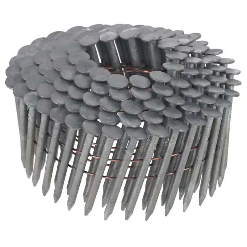 Pointes en rouleau galvanisées à chaud DEWALT DNR3145HDZ 3.1x45mm Vente Flash