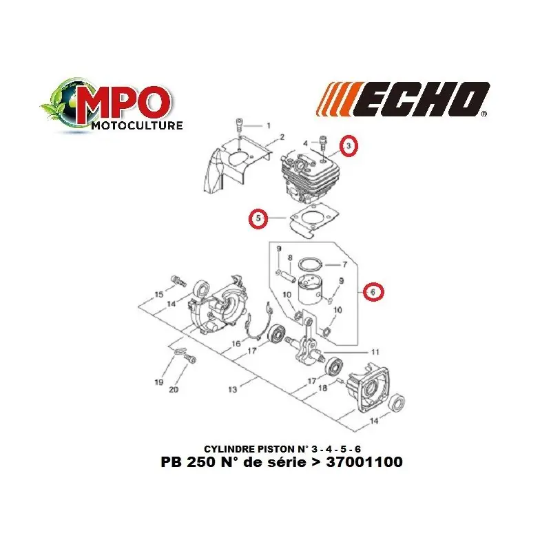 Usine Directe Cylindre piston ECHO pour PB 250 « ORIGINE »