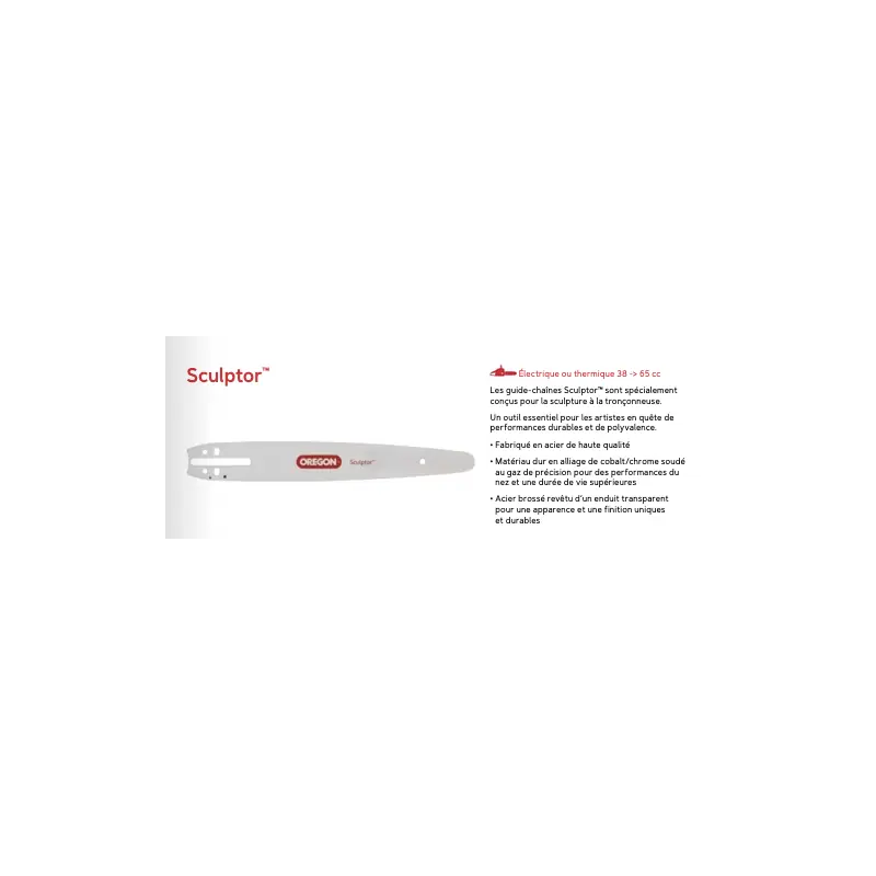 Populaire Guide de chaîne Oregon Sculptor™ 535045 30 cm 1/4&Prime; jauge 1,3 mm