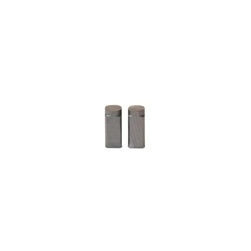 Jeu de charbons BLACK ET DECKER 680495 – 855310 Commander Maintenant