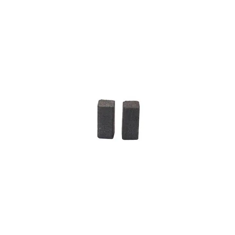 Jeu de charbons STAYER 20500900 – 2-050-090-0 Commander Maintenant