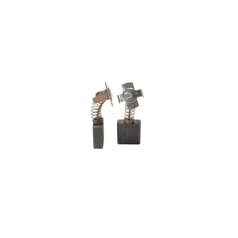 Jeu de charbons RYOBI 8063200002 Marque