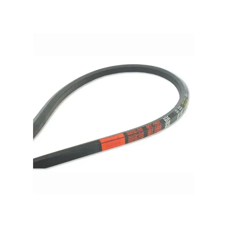 Courroie hexagonale COUNTAX – WESTWOOD 229503501 Dernier Modèle