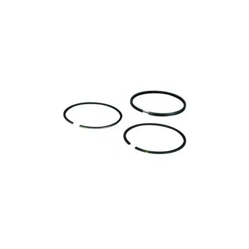 Expédition Rapide Jeu de segments BRIGGS ET STRATTON 498680 – 699658 – 498681