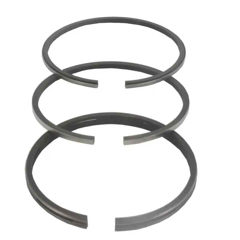 Jeu de segments BRIGGS ET STRATTON 294232 Réduction