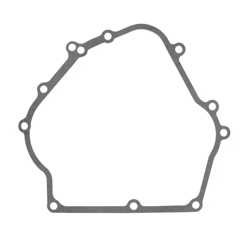 Certifié Joint de carter BRIGGS ET STRATTON 710216