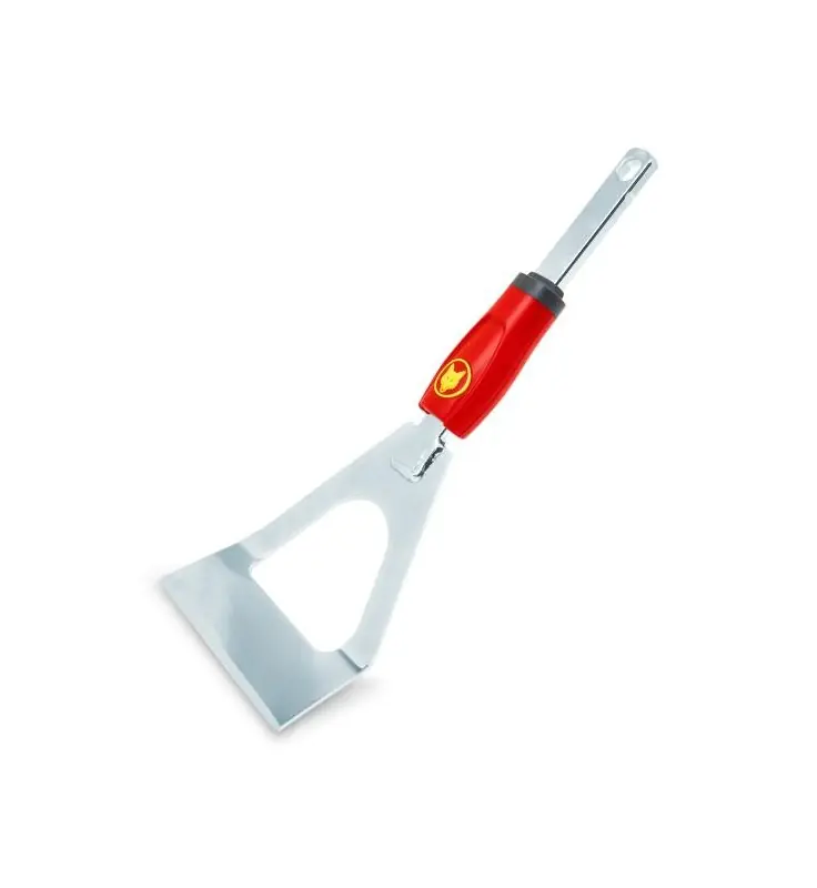 DHM – Binette Hollandaise Multi-Star Commande En Gros