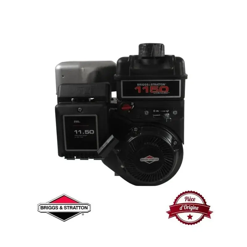 Haute Qualité Moteur complet BRIGGS ET STRATTON 245cc 1150 series INTEK OHV