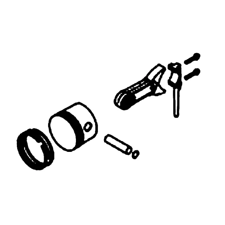 Kit Pistons 5975047-01 Offre Exclusive