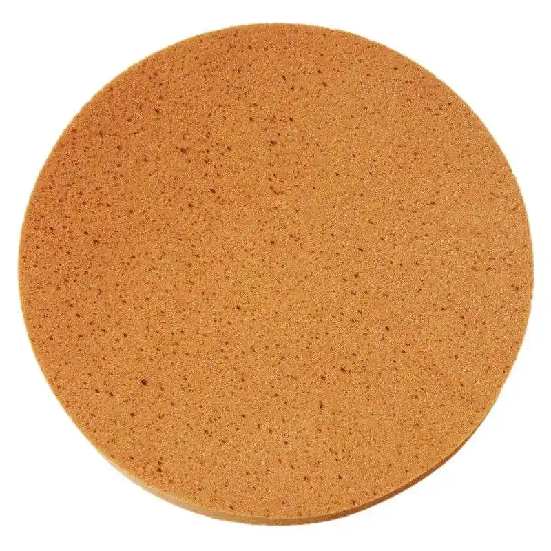 Eponge DIAM CB-37722 pour Talocheuse EPG400 et EPG400WP Acheter En Ligne
