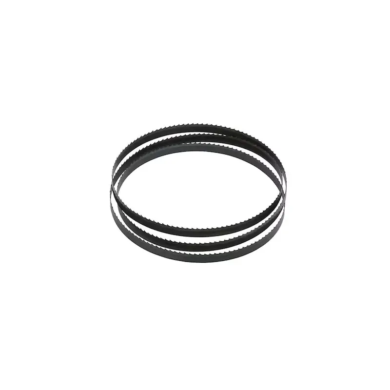 Lame pour scie à ruban DW738/DW739 2095mm DEWALT DT8481-QZ largeur 12mm Affaire À Saisir