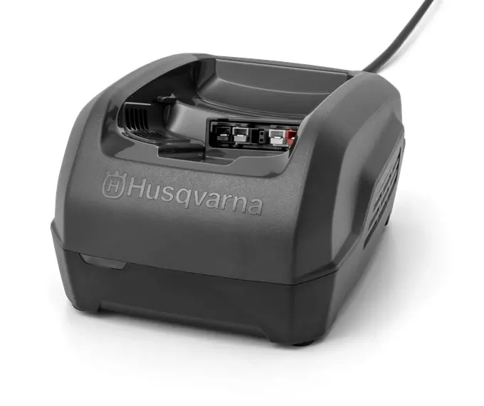 Réduction Chargeur de batterie QC250