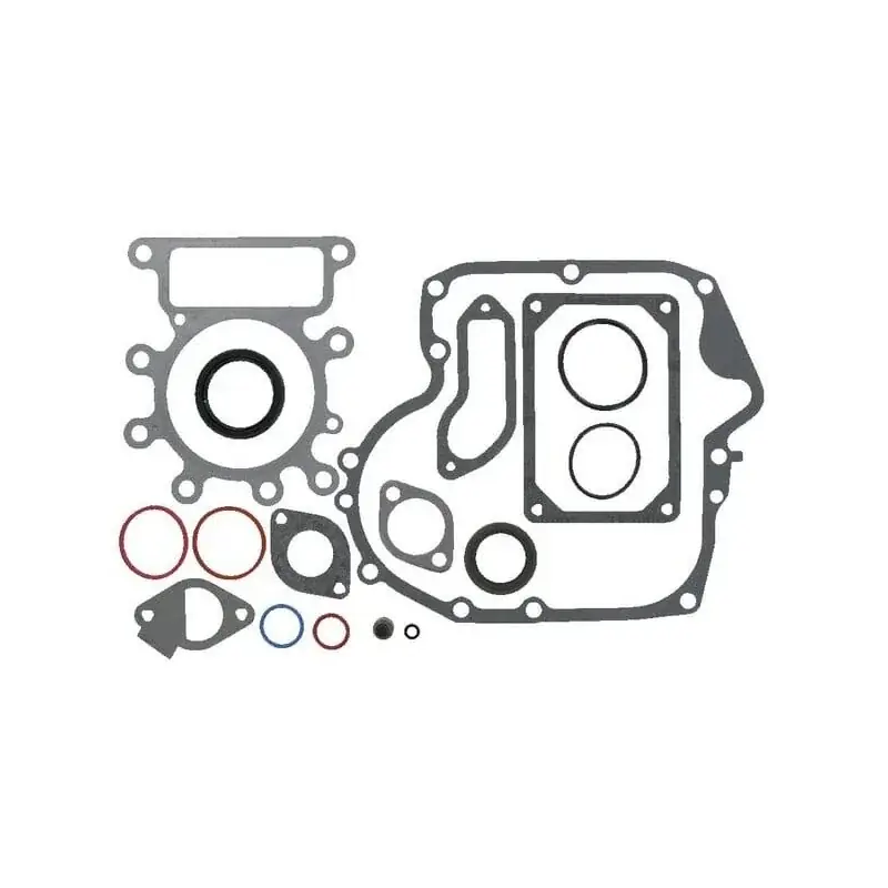 Nouvel Arrivage Kit d‘étanchéité, moteur BRIGGS ET STRATTON 594272