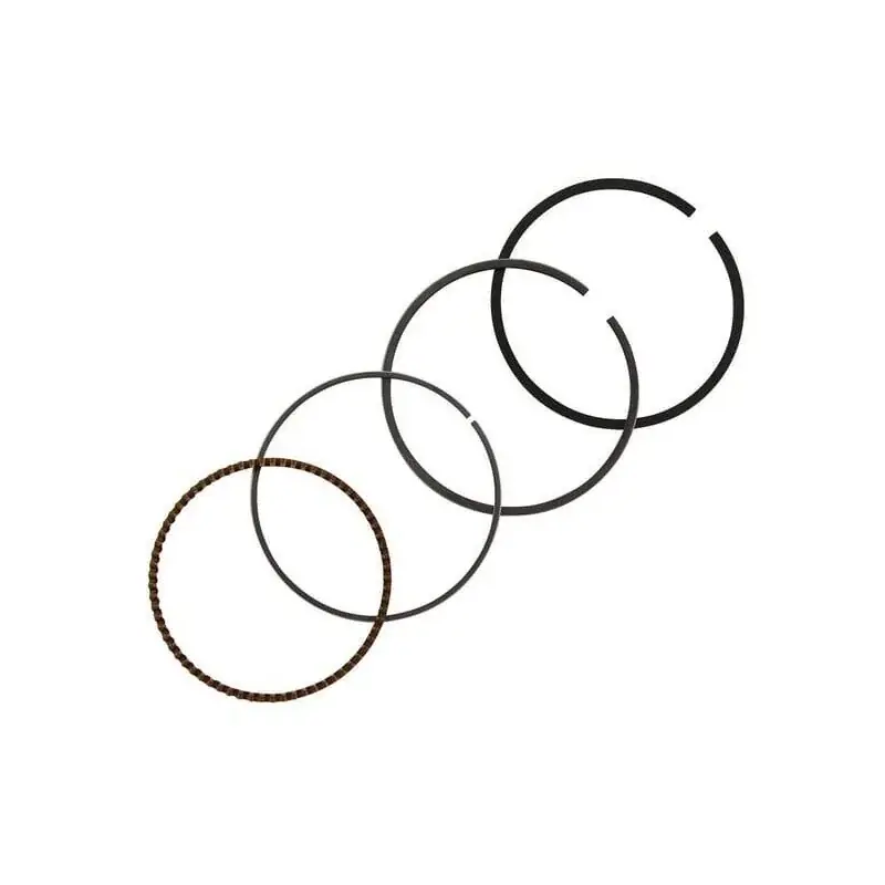 Kit de segments BRIGGS ET STRATTON 843793 Populaire